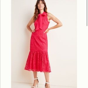 NWT Monique Lhuillier fuchsia lace midi dress 10